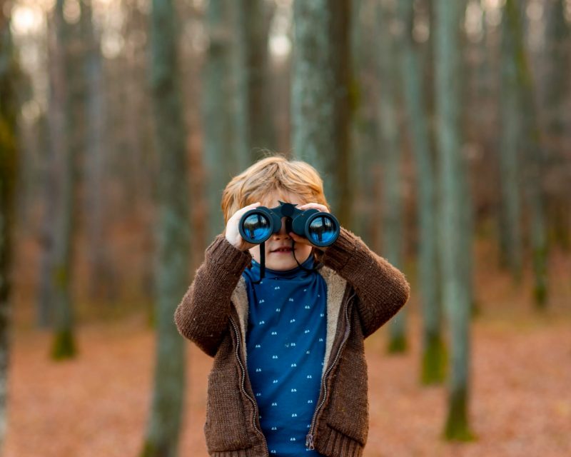 AdobeStock_386777957-min