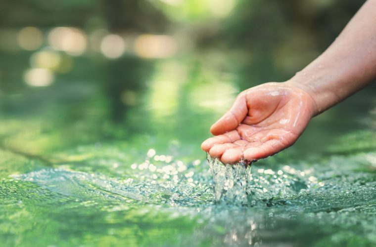 hand touches water in the pond